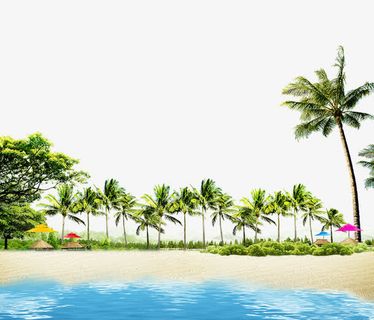 夏威夷沙滩免抠