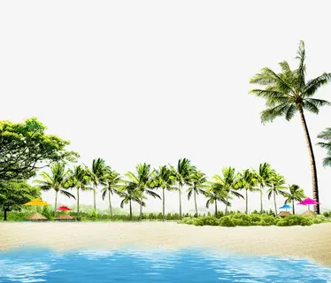 夏威夷沙滩免抠 夏威夷沙滩免抠