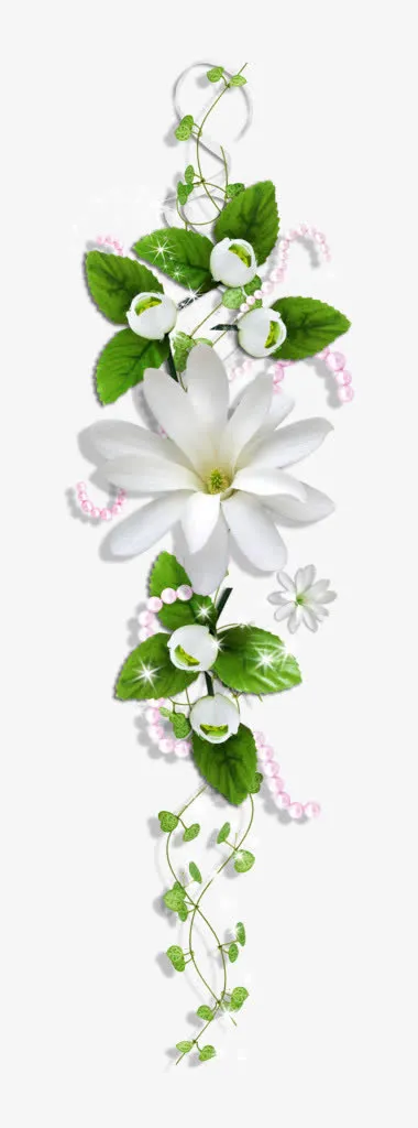 珍珠 绿叶 白花骨朵 花莲 png素材免抠