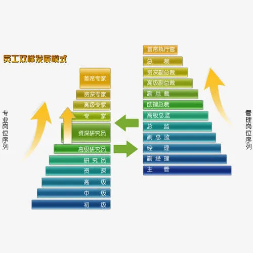 晋升阶梯免抠