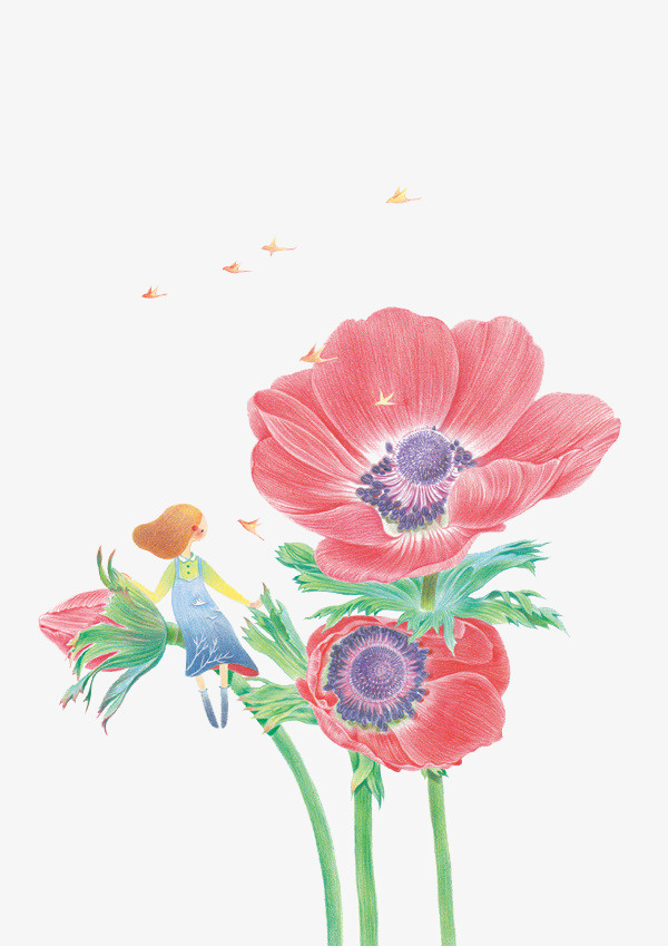 手绘木芙蓉免抠
