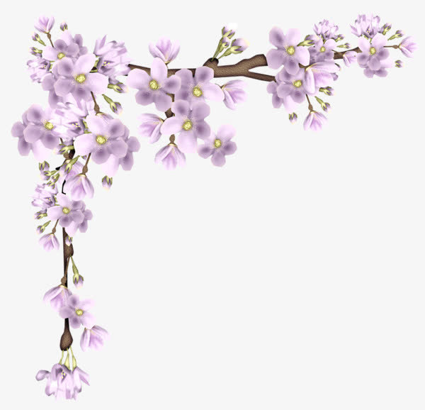 漂浮樱花边框素材免抠