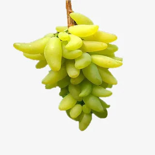 金手指青皮葡萄免抠