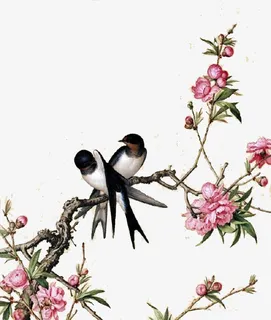 中国风花鸟 画免抠