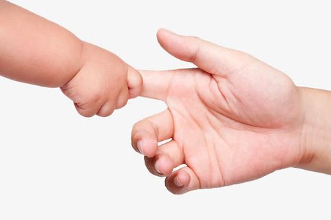 婴儿和成人手拉手图片免抠