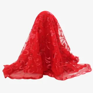 红盖头绣花红纱免抠