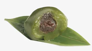 清明节食物清明果免抠