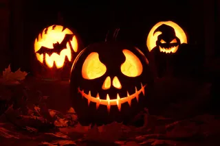 创意南瓜灯背景图片落叶树叶蝙蝠幽灵