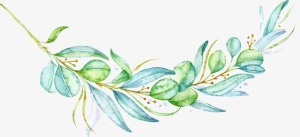 绿色树枝免抠