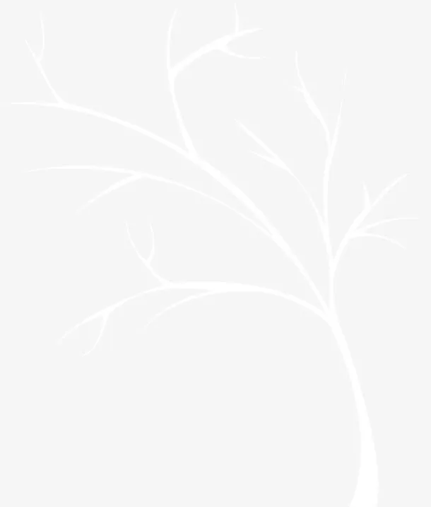 白色树枝全屏海报背景