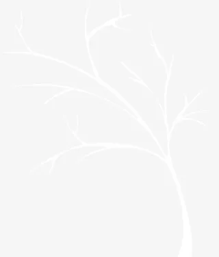 白色树枝全屏海报背景