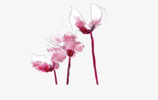 紫色中国风兰花免抠