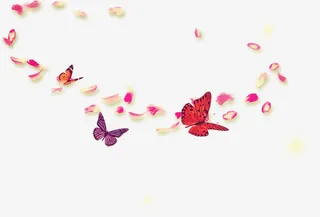 飘落的花瓣免抠