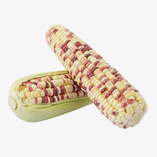 糯玉米花玉米免抠