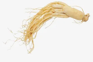 药材食谱一条黄色人参免抠