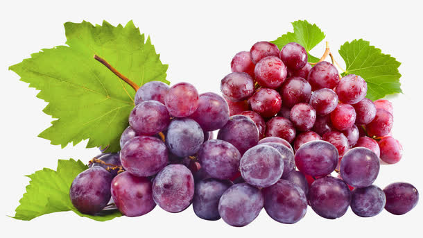 两串葡萄免抠