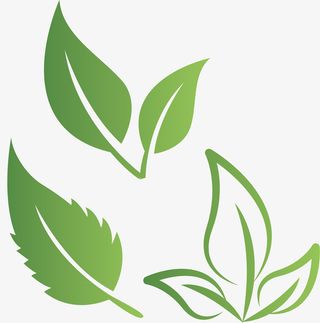 叶子花边春天叶子免抠