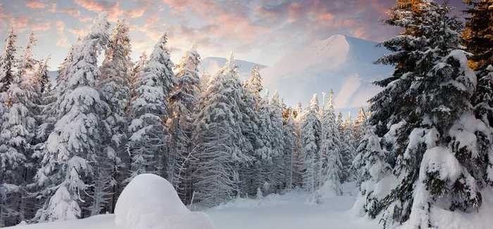 雪树雪山海报素材高清