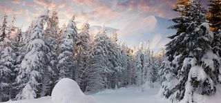 雪树雪山海报素材高清