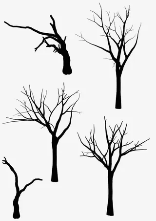 干枯的树枝免抠