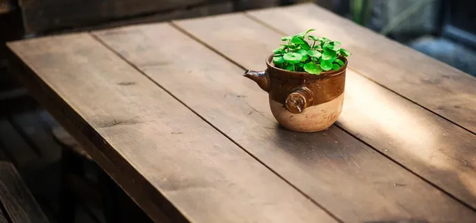 静物背景图高清