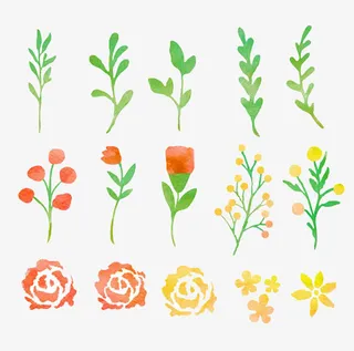 水彩花卉叶子。免抠