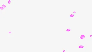 花瓣妇科广告杂志免抠