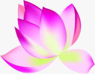紫色手绘梦幻荷花免抠