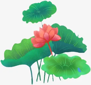 春天荷花池子免抠