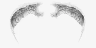 白色翅膀装饰图案免抠