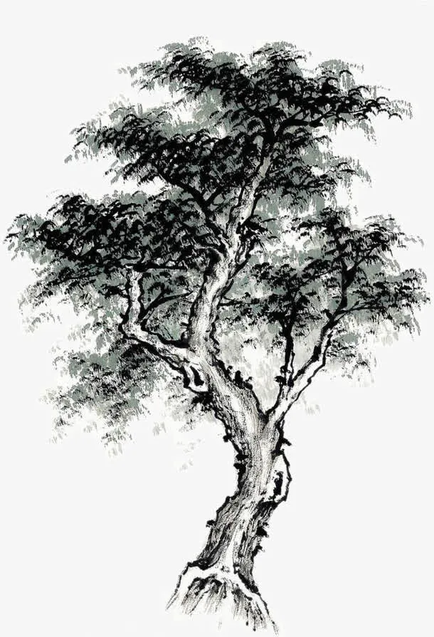 树的画法免抠