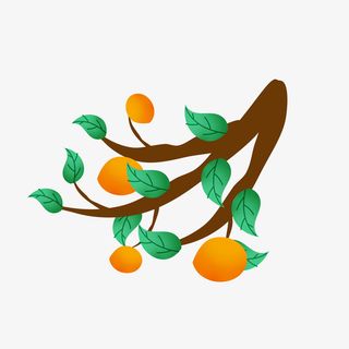 24节气霜降柿子卡通手绘素材免抠