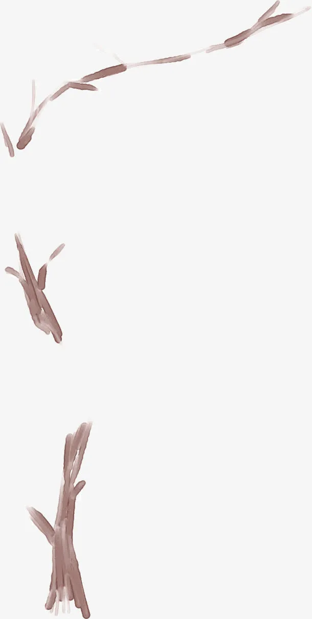 创意手绘扁平树枝效果免抠