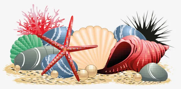 卡通海螺免抠