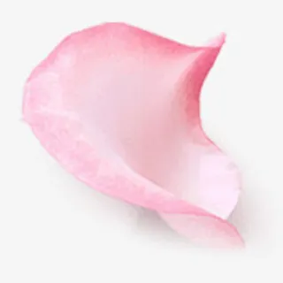 化妆品红色玫瑰叶子免抠