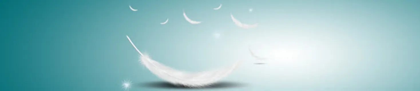 女鞋羽毛渐变背景banner