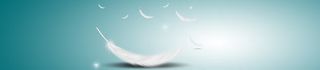 女鞋羽毛渐变背景banner