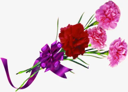节日康乃馨花朵花束免抠