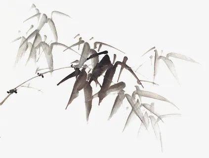 透明的竹子免抠