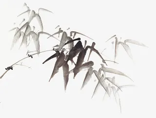 透明的竹子免抠