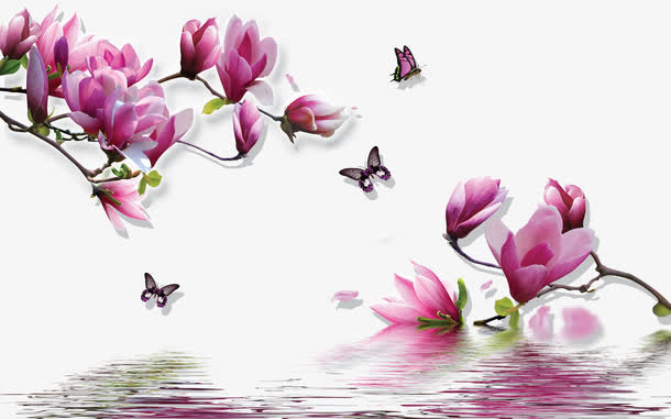 玉兰花花纹素材免抠