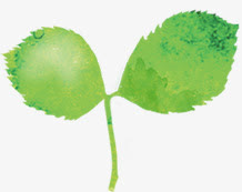 手绘绿色水彩树叶春天装饰免抠