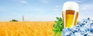 啤酒麦田冰块淘宝背景高清
