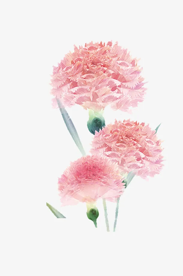 手绘水彩装饰插图母亲节粉嫩花卉免抠