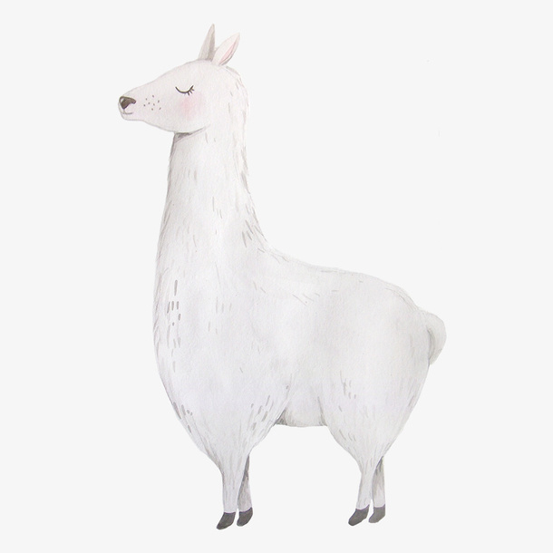 羊驼手绘水彩小清新动物植物装饰免抠