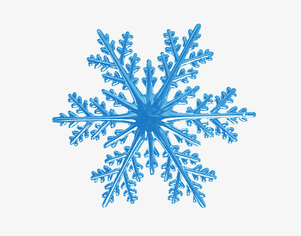 一朵雪花免抠