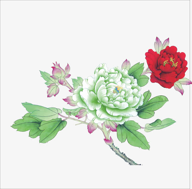 花瓣免抠