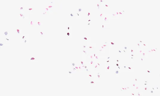 粉色飘落花瓣碎片背景七夕情人节免抠