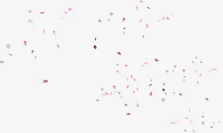 粉色飘落花瓣碎片背景七夕情人节免抠