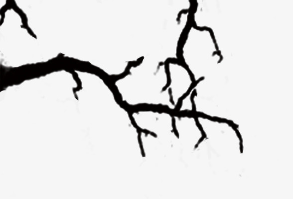 枯枝树枝素材元素免抠